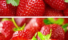 草莓在线视频,探寻甜蜜果实背后的故事与魅力